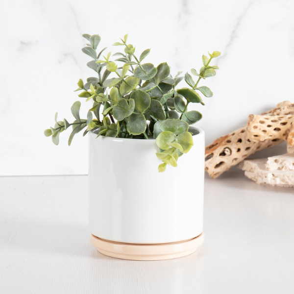 22 oz Blume Ceramic Planter - Vanilla