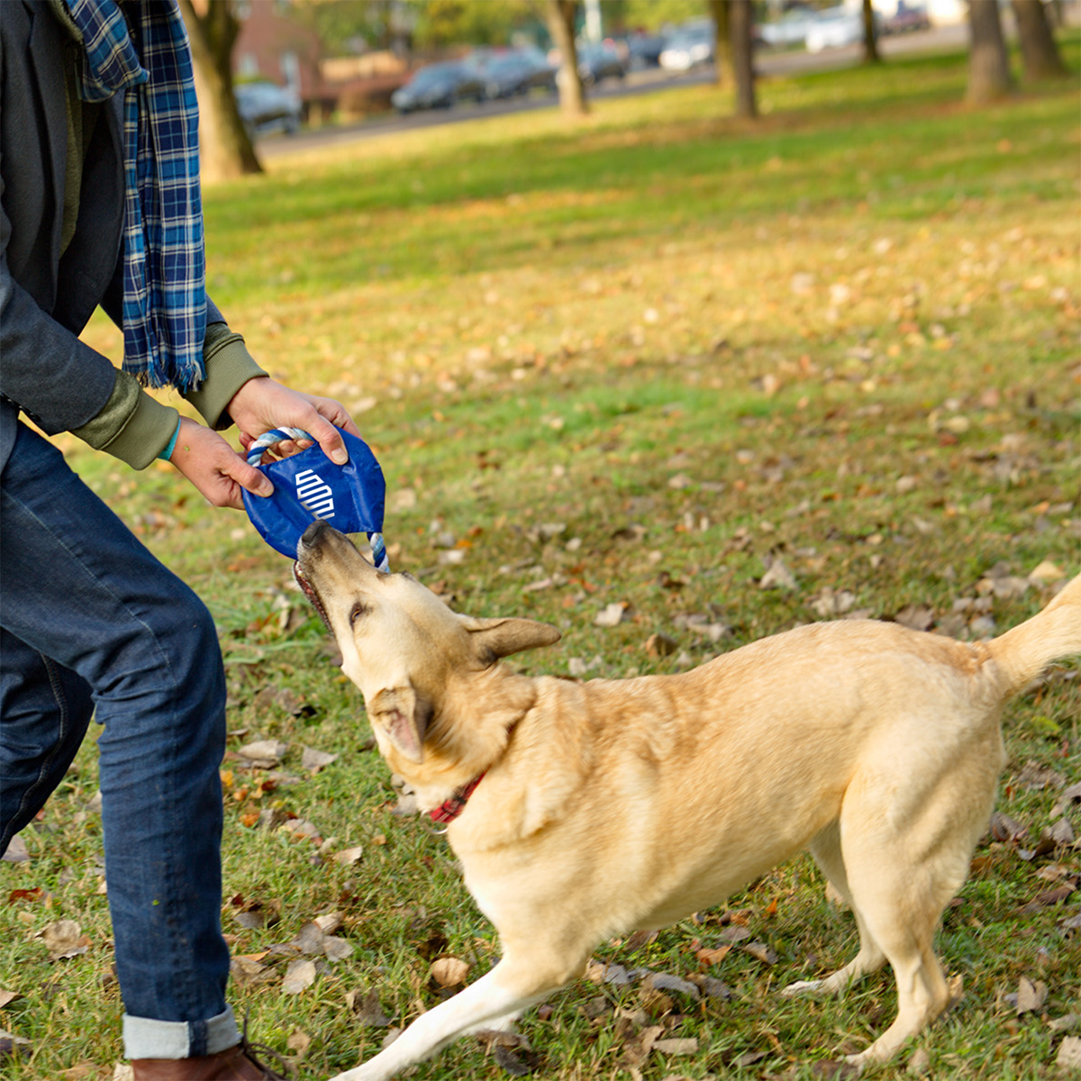 Fetch-It Dog Toy