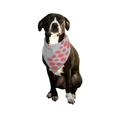 Dog Bandana